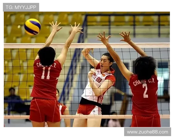 杭州排球队在锦标赛中的默契配合与战术执行分析